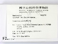 登錄號:F0022775藏品圖，第2張