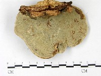 登錄號:F0022775藏品圖，第3張