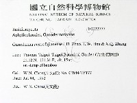 登錄號:F0022777藏品圖，第2張