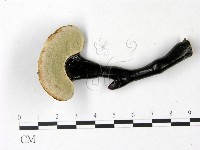 登錄號:F0022778藏品圖，第3張