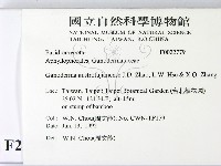 登錄號:F0022779藏品圖，第2張