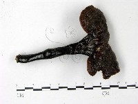 登錄號:F0022779藏品圖，第1張
