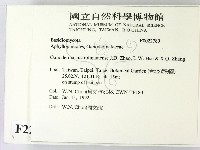 登錄號:F0022780藏品圖，第2張