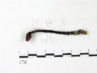 登錄號:F0022780藏品圖，第1張