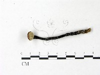 登錄號:F0022780藏品圖，第3張