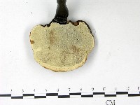 登錄號:F0022783藏品圖，第3張