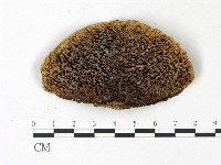 登錄號:F0022785藏品圖，第1張