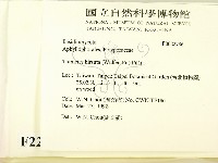 登錄號:F0022786藏品圖，第2張