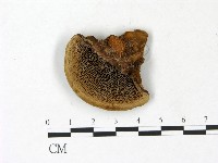 登錄號:F0022786藏品圖，第3張