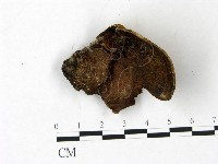 登錄號:F0022787藏品圖，第1張