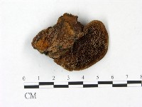 登錄號:F0022787藏品圖，第4張