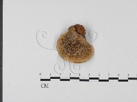 登錄號:F0022788藏品圖，第3張