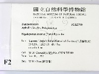 登錄號:F0022789藏品圖，第2張