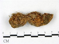 登錄號:F0022789藏品圖，第3張