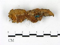 登錄號:F0022789藏品圖，第4張