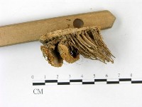 登錄號:F0022790藏品圖，第3張