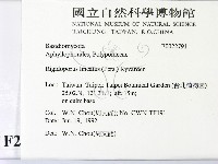 登錄號:F0022791藏品圖，第2張