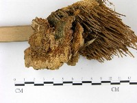 登錄號:F0022791藏品圖，第4張