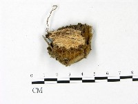 登錄號:F0022792藏品圖，第3張