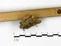 登錄號:F0022792藏品圖，第4張