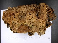 登錄號:F0022793藏品圖，第3張