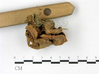 登錄號:F0022794藏品圖，第3張