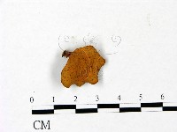 登錄號:F0022795藏品圖，第1張