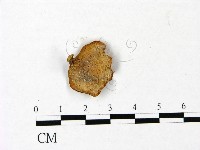 登錄號:F0022795藏品圖，第3張