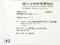 登錄號:F0022796藏品圖，第2張