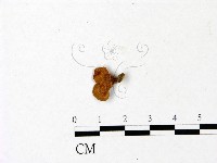 登錄號:F0022796藏品圖，第1張