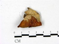 登錄號:F0022797藏品圖，第1張