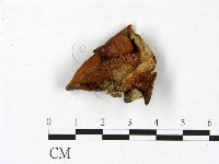 登錄號:F0022797藏品圖，第3張