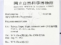 登錄號:F0022798藏品圖，第2張