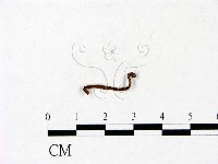 登錄號:F0022800藏品圖，第1張