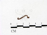 登錄號:F0022800藏品圖，第3張