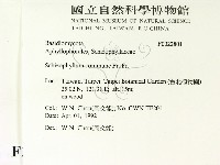 裂褶菌藏品圖，第2張