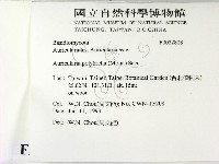 毛木耳藏品圖，第2張