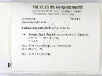 登錄號:F0022809藏品圖，第2張