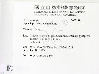 多年臥孔菌屬藏品圖，第2張