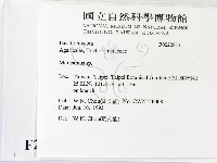 小皮傘屬藏品圖，第2張