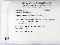 登錄號:F0022819藏品圖，第2張