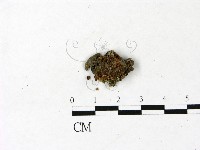 登錄號:F0022820藏品圖，第1張