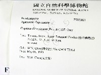 登錄號:F0022821藏品圖，第2張