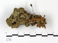 登錄號:F0022821藏品圖，第3張