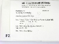登錄號:F0022822藏品圖，第2張