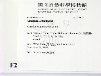 登錄號:F0022823藏品圖，第2張