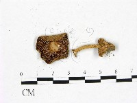 登錄號:F0022824藏品圖，第3張