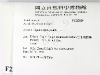 登錄號:F0022826藏品圖，第2張