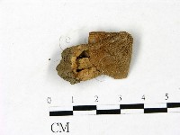 登錄號:F0022826藏品圖，第1張