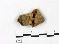 登錄號:F0022826藏品圖，第3張